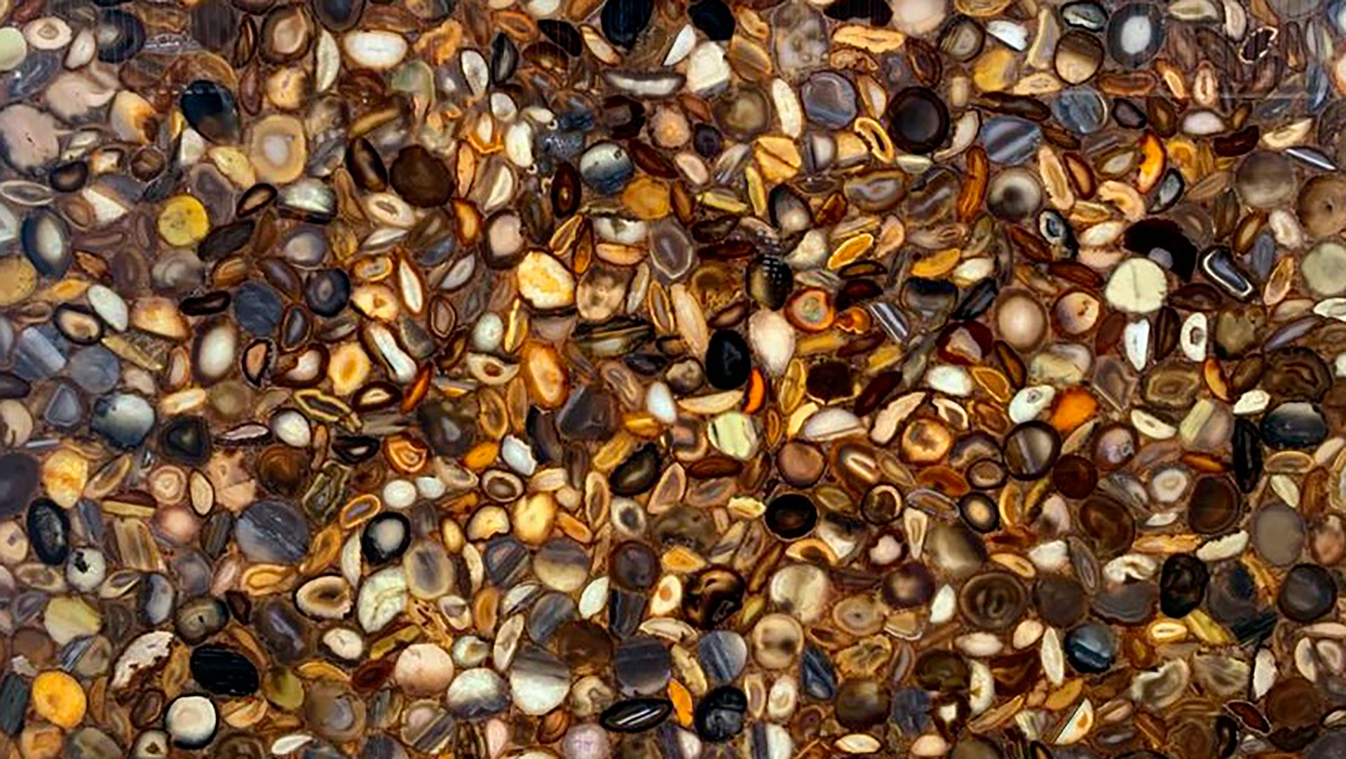 Agate Brown Agate Brown