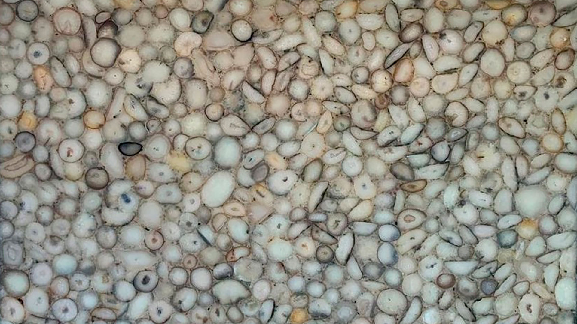 Agate Natural Antique Agate Natural Antique
