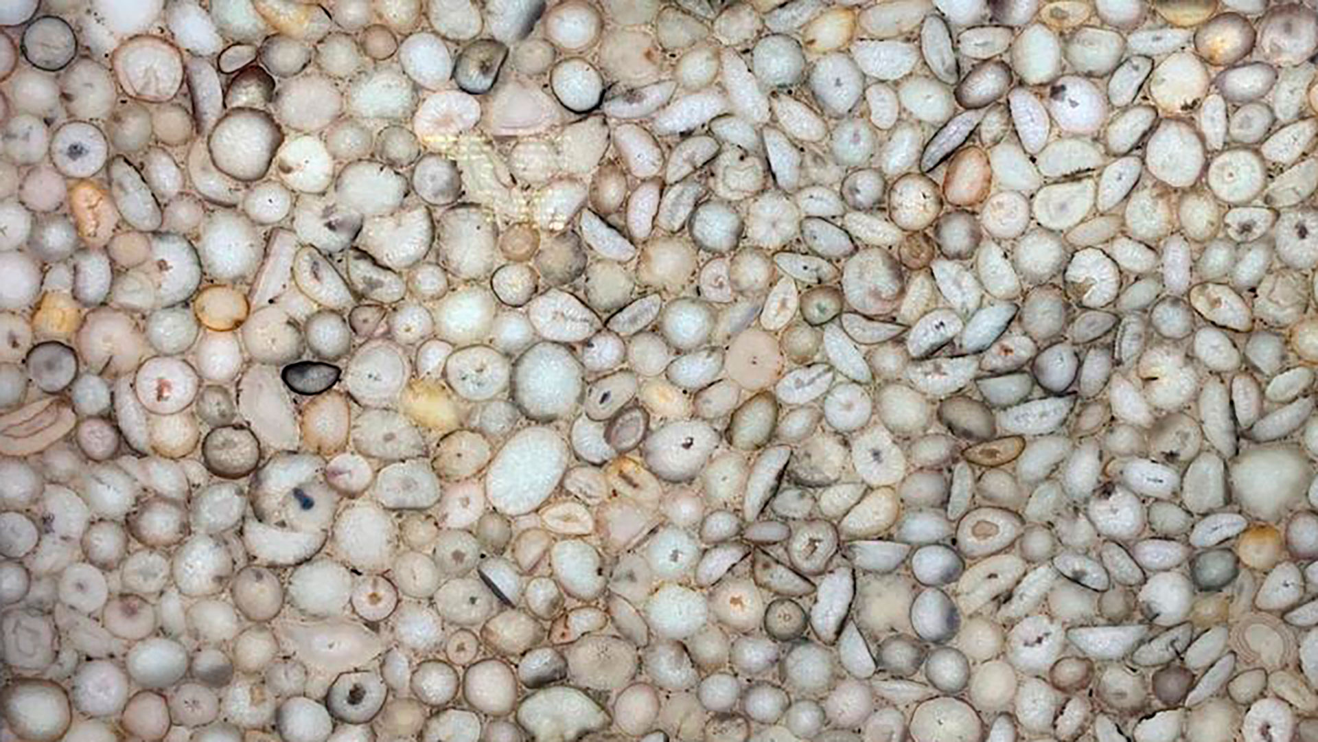 Agate Natural Antique Agate Natural Antique