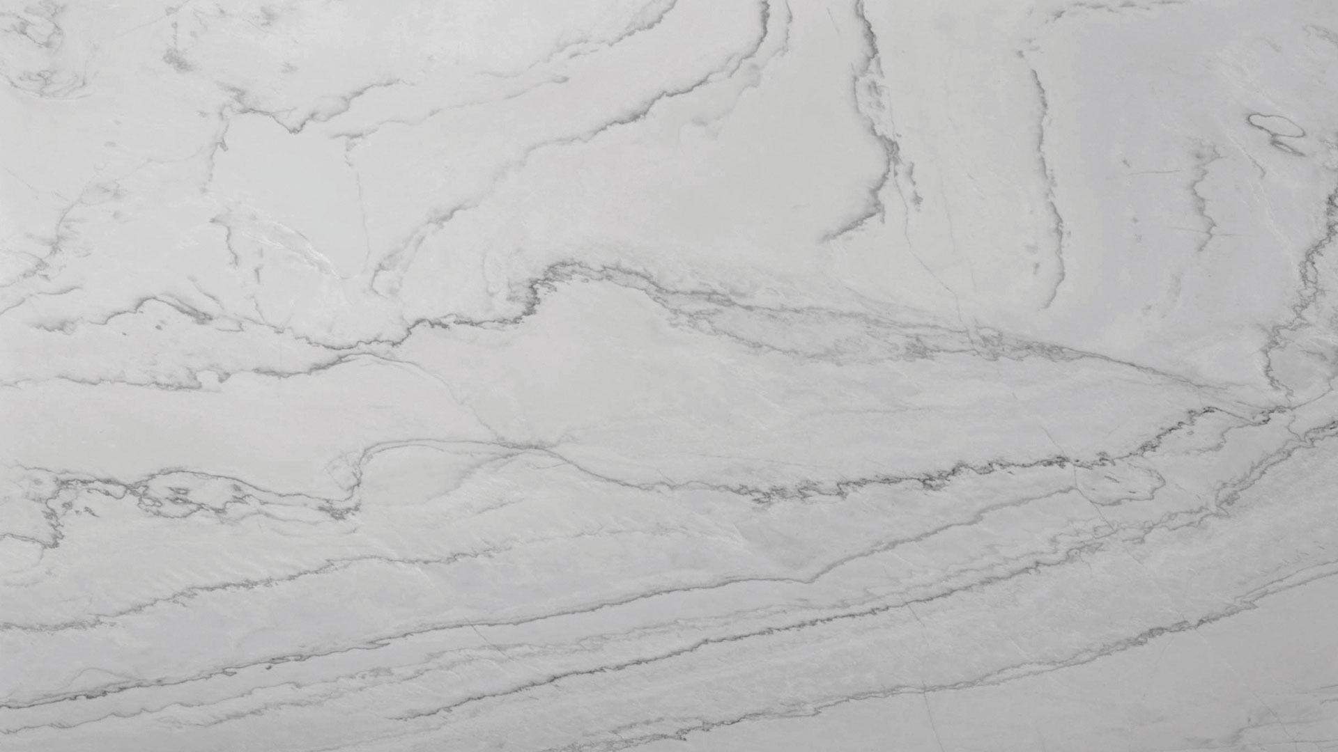 White Wave White Wave